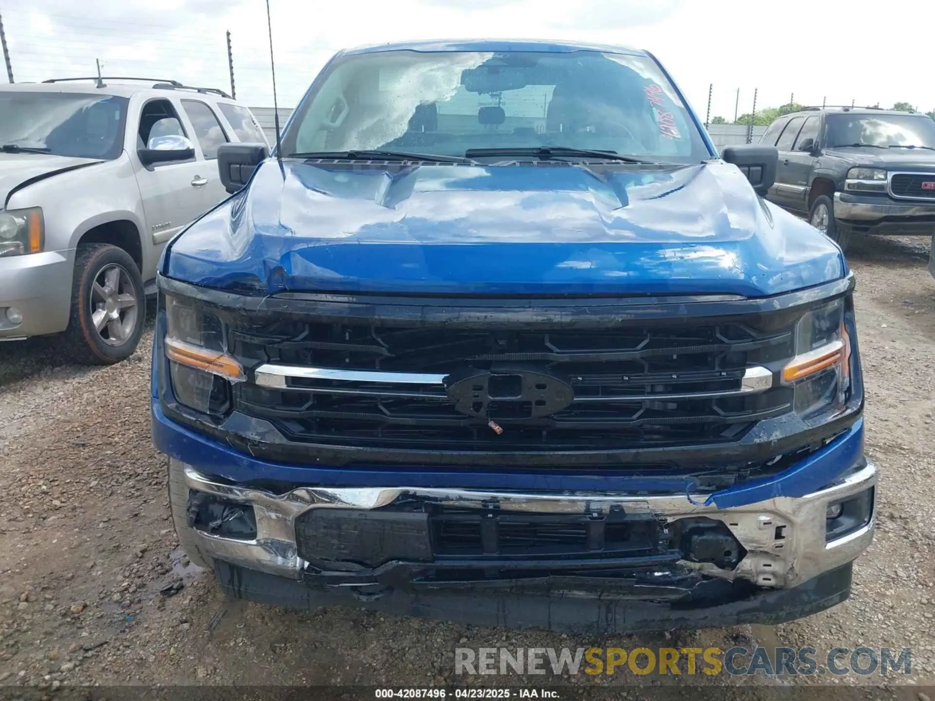 12 Photograph of a damaged car 1FTFW3LD1RFA35598 FORD F-150 2024