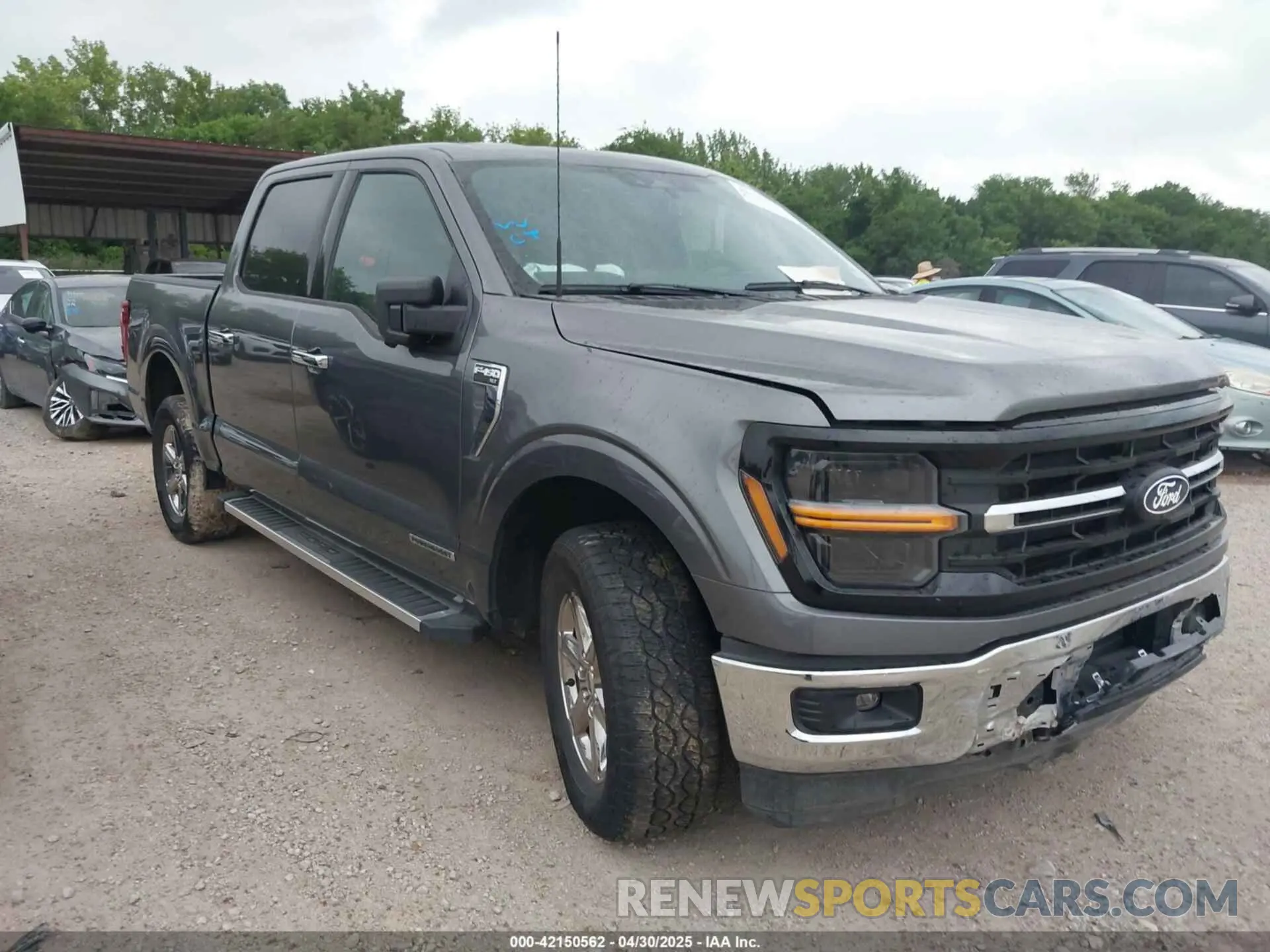 1 Photograph of a damaged car 1FTFW3LD8RFA75614 FORD F-150 2024