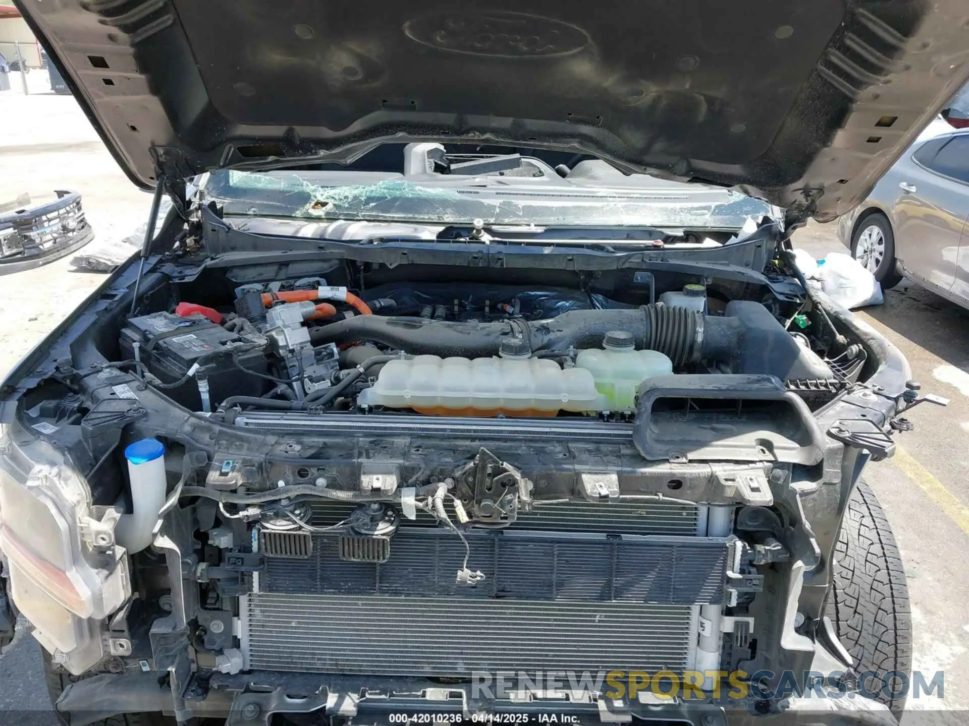 10 Photograph of a damaged car 1FTFW3LDXRFA08772 FORD F-150 2024