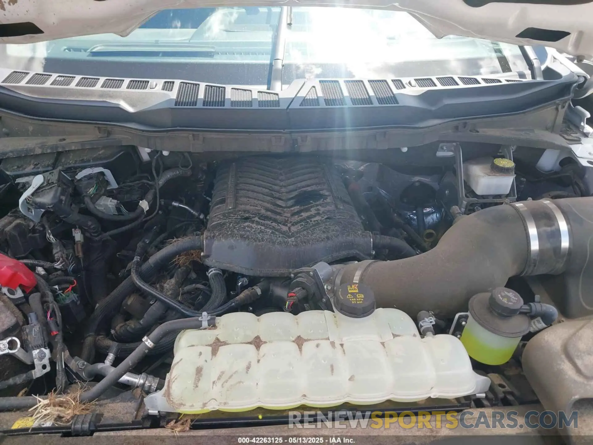 10 Photograph of a damaged car 1FTFW5L53RFA91496 FORD F-150 2024
