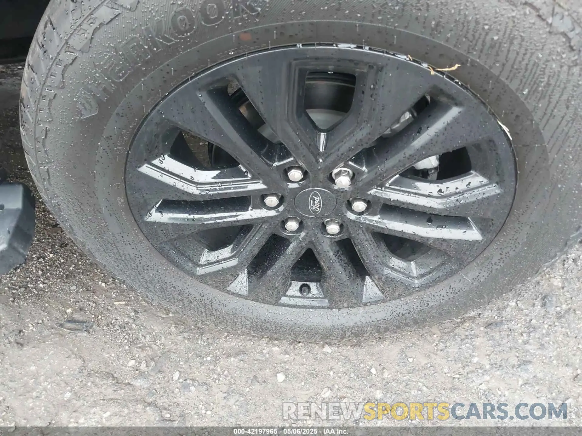 12 Photograph of a damaged car 1FTFW5L85RFB90881 FORD F-150 2024