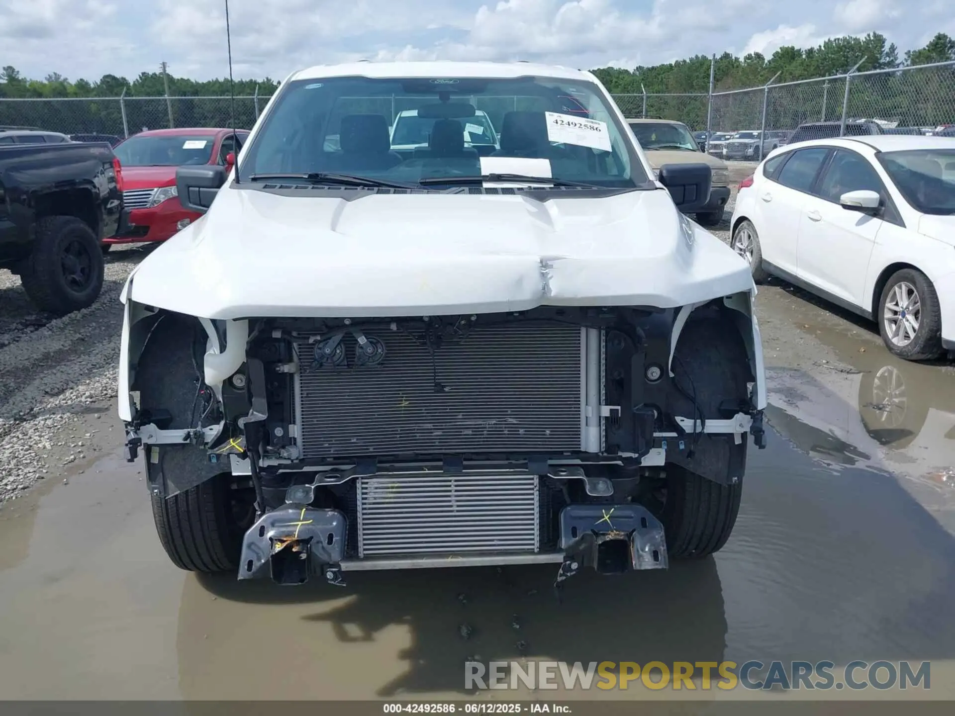 12 Photograph of a damaged car 1FTMF1KP5RKF59240 FORD F-150 2024