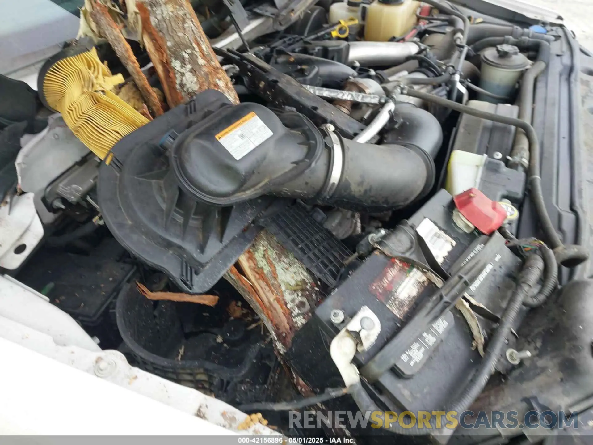 17 Photograph of a damaged car 1FT8W3BT5KEE17677 FORD F-350 2019
