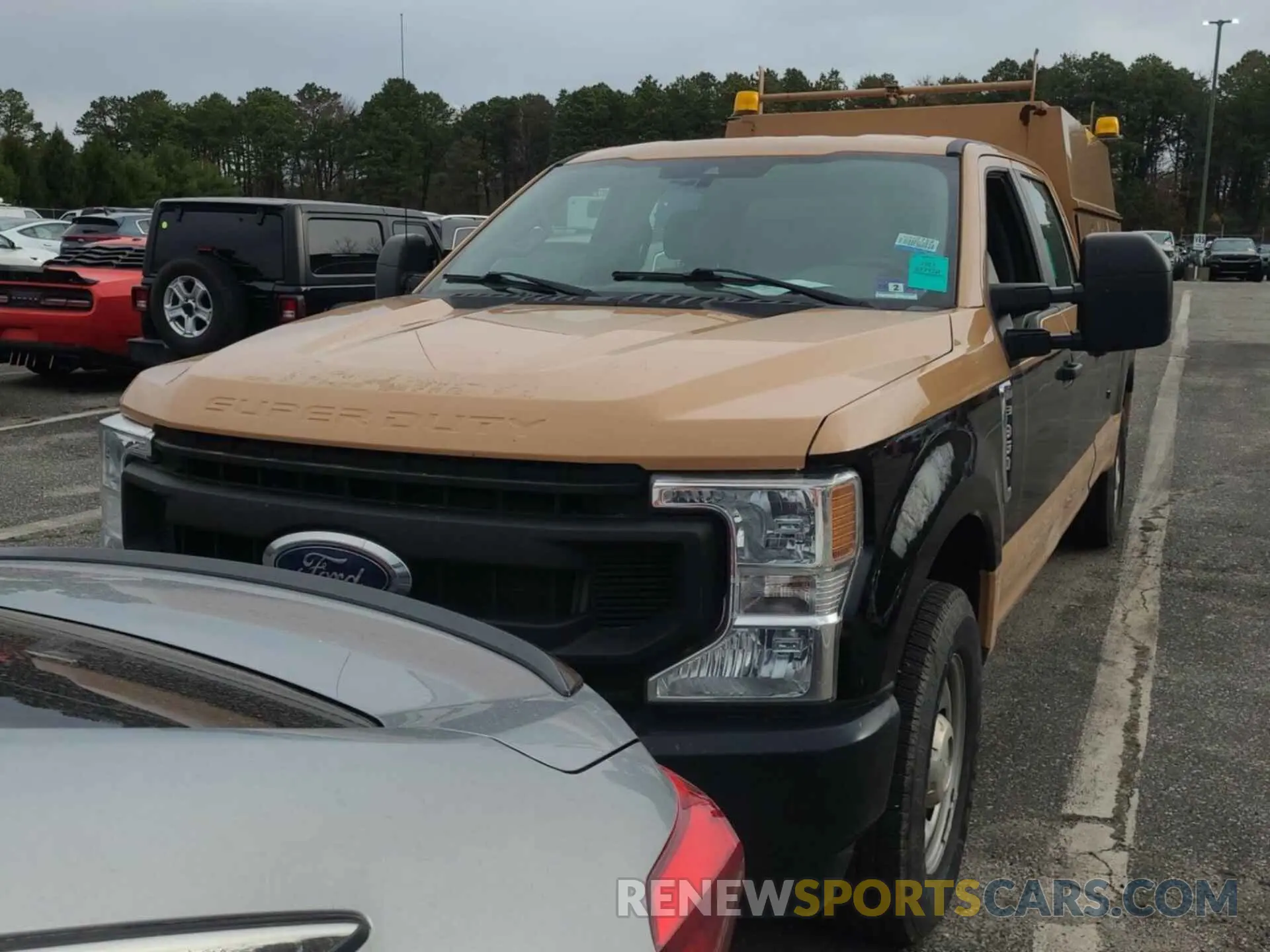 19 Photograph of a damaged car 1FT8W3A61MEC92000 FORD F-350 2021
