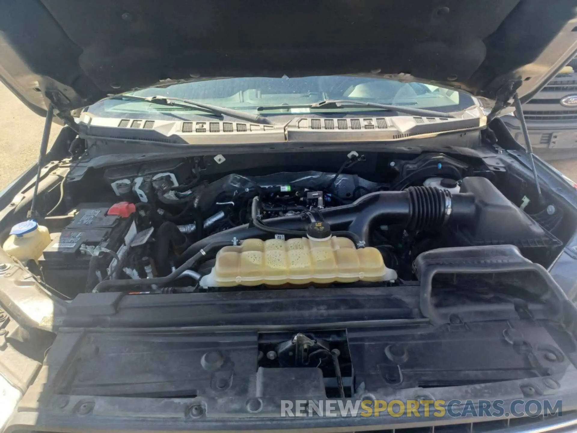 12 Photograph of a damaged car 1FTEW1EP1KKD58926 FORD F150 2019