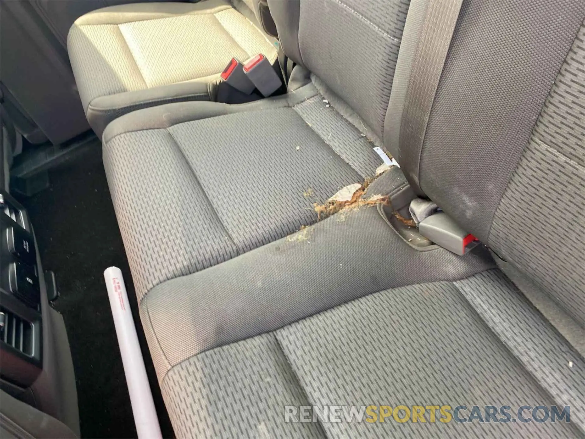 25 Photograph of a damaged car 1FTEX1CP1KKC22733 FORD F150 2019