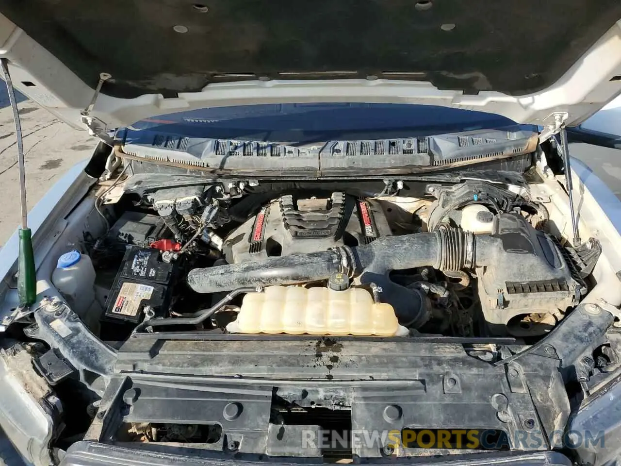 11 Photograph of a damaged car 1FTFW1RG7KFB96436 FORD F150 2019