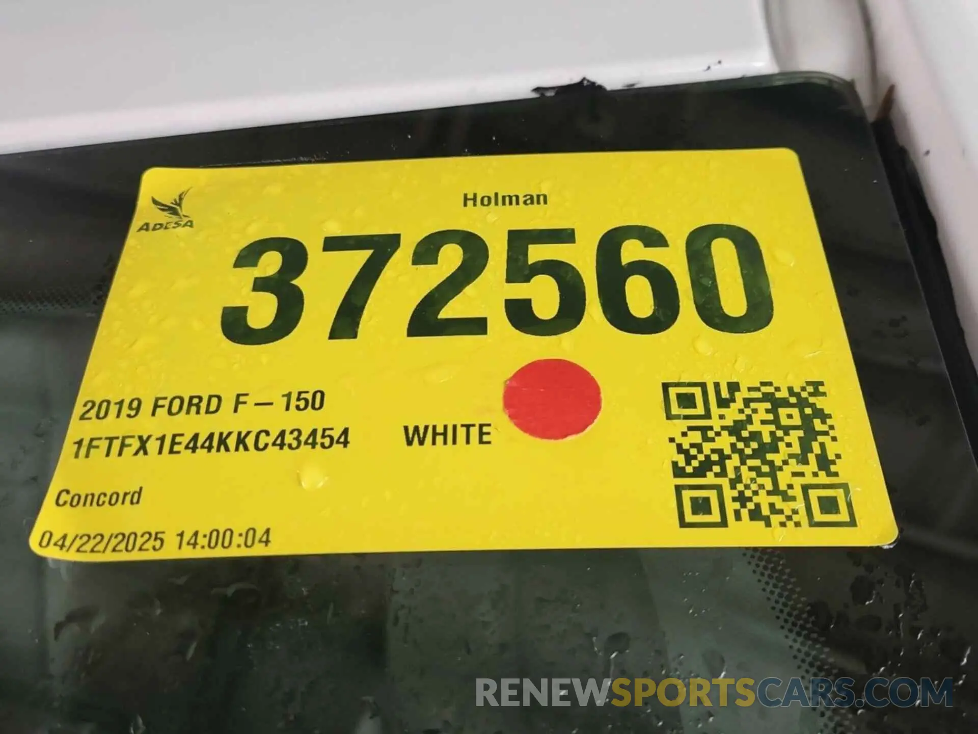 51 Photograph of a damaged car 1FTFX1E44KKC43454 FORD F150 2019