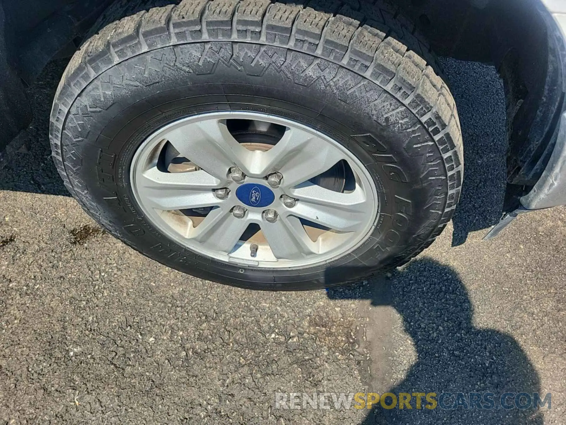 24 Photograph of a damaged car 1FTFX1E48KKC43599 FORD F150 2019