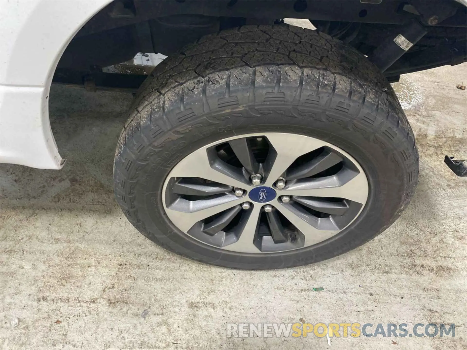 13 Photograph of a damaged car 1FTFX1E52KKC13801 FORD F150 2019