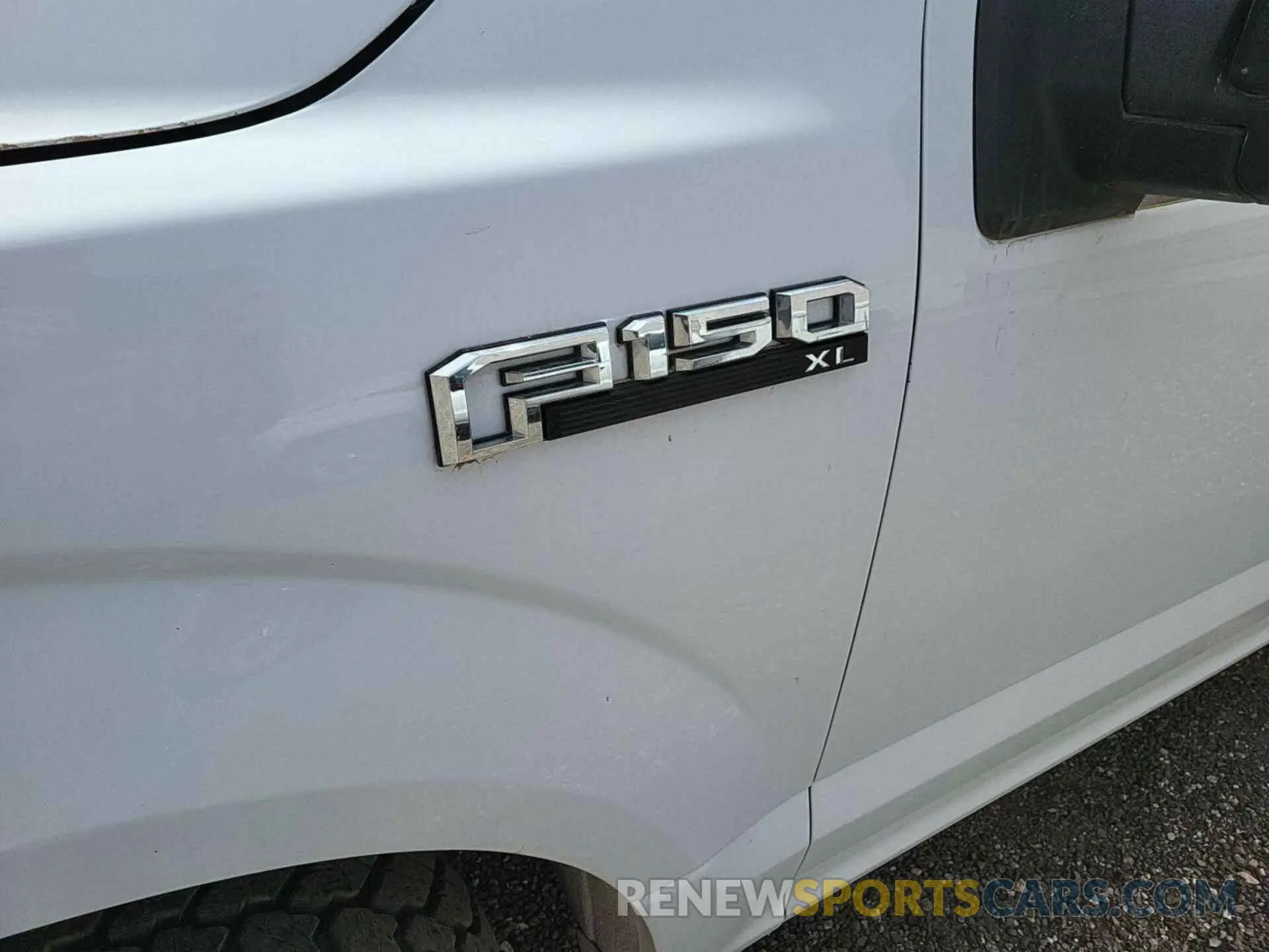 12 Photograph of a damaged car 1FTFX1E59KKC91606 FORD F150 2019