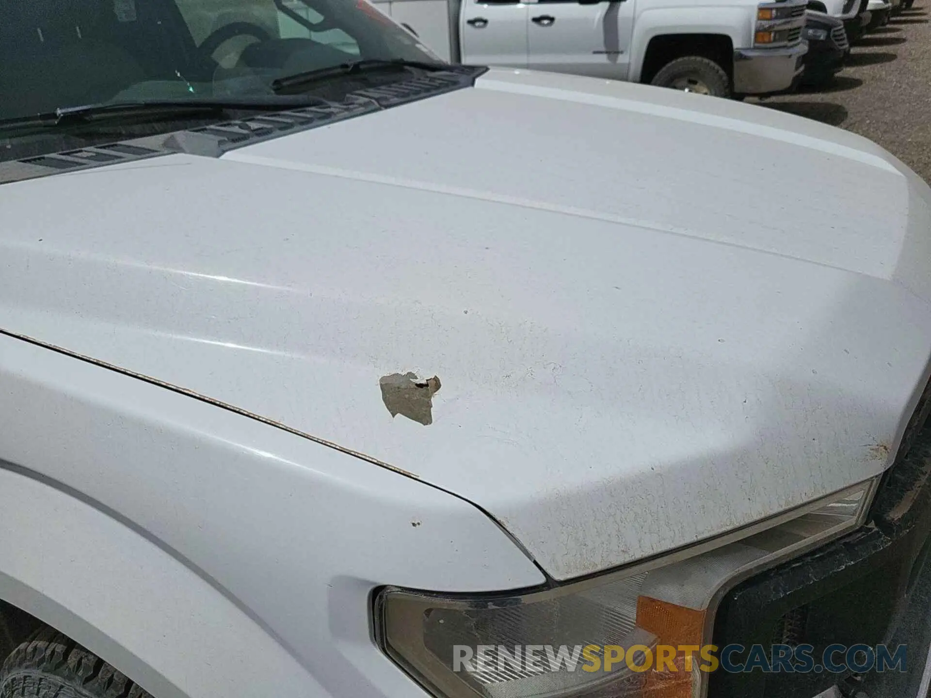 16 Photograph of a damaged car 1FTFX1E59KKC91606 FORD F150 2019