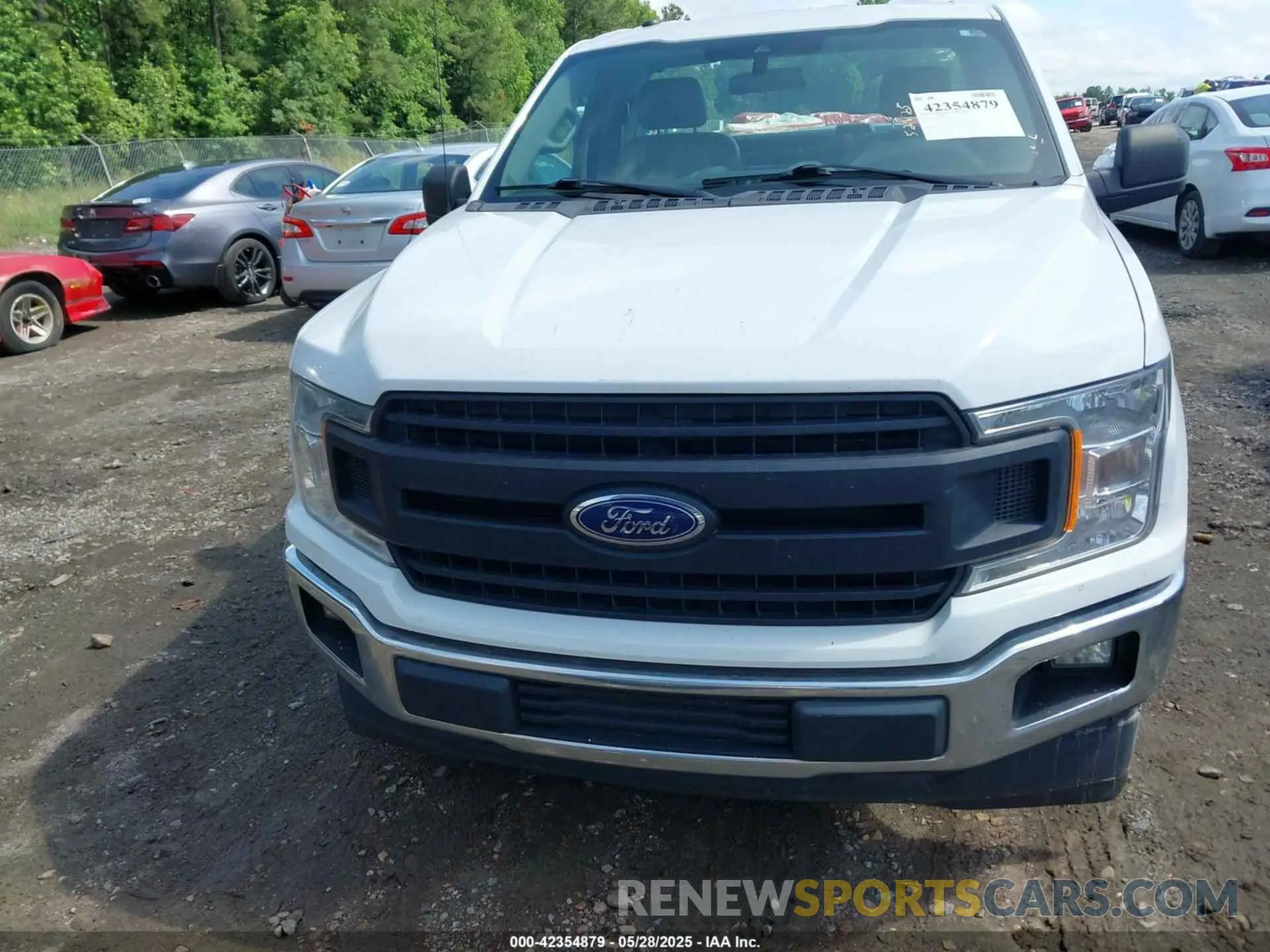 12 Photograph of a damaged car 1FTMF1CB5KKD32509 FORD F150 2019