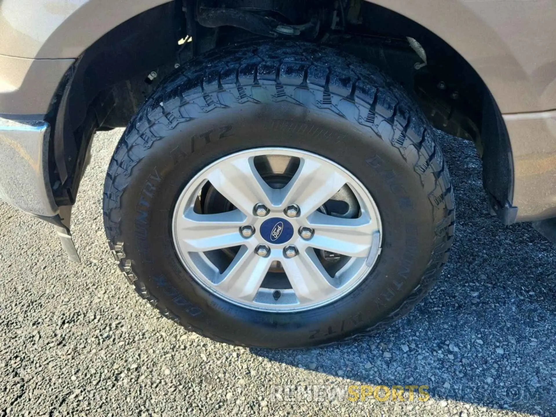 11 Photograph of a damaged car 1FTEW1EP3LKD10572 FORD F150 2020