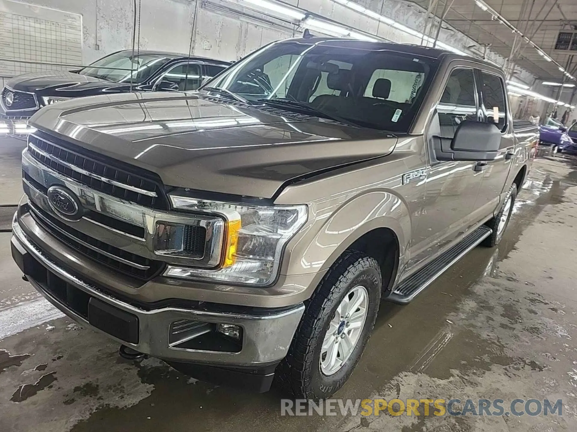 24 Photograph of a damaged car 1FTEW1EP3LKD10572 FORD F150 2020