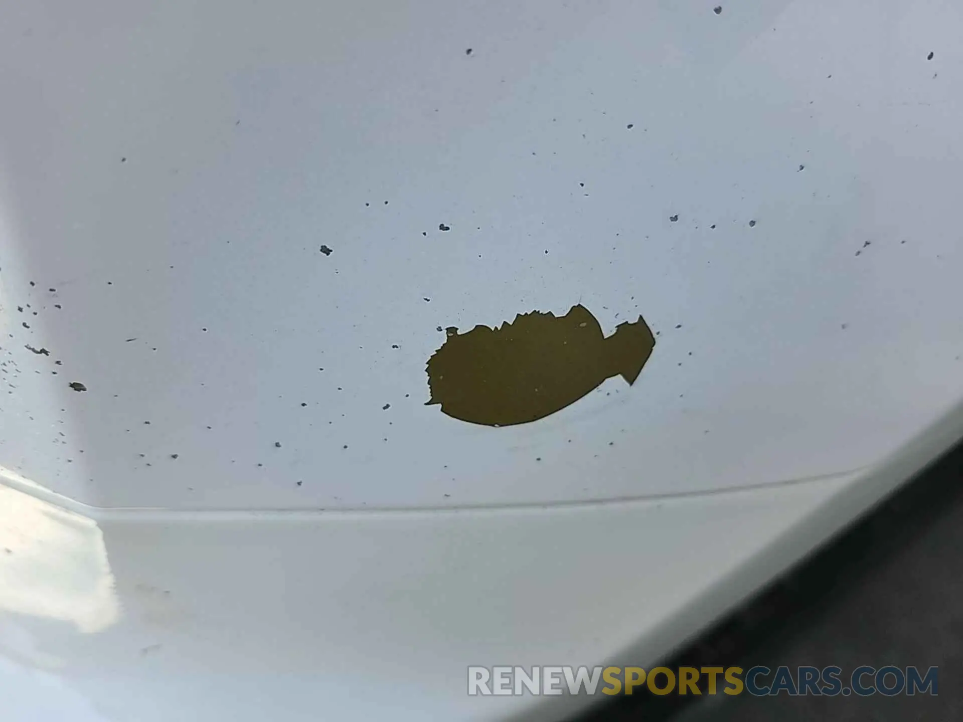 1 Photograph of a damaged car 1FTEW1EP5LKE44984 FORD F150 2020