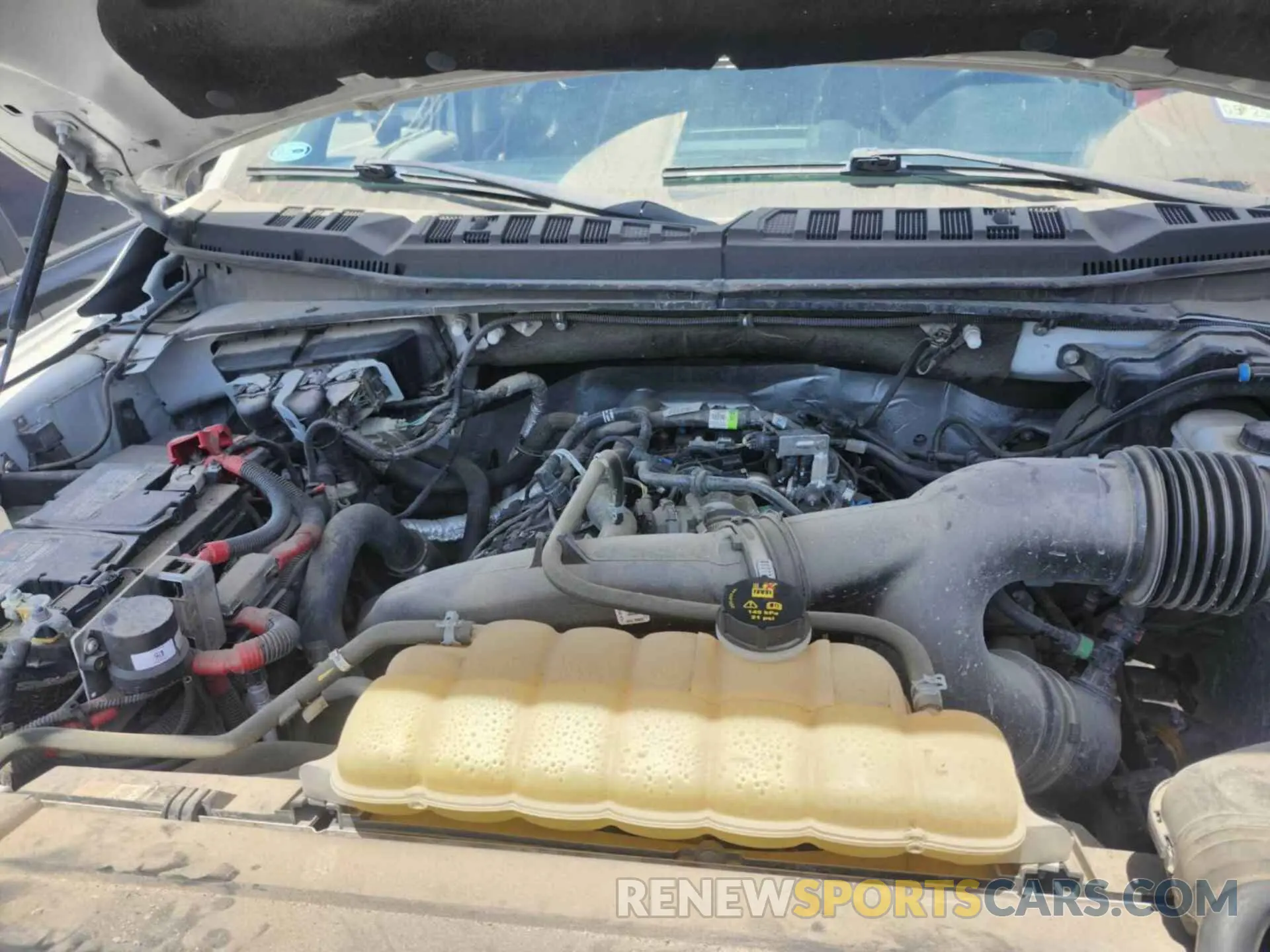 13 Photograph of a damaged car 1FTEW1EP7LKD83427 FORD F150 2020