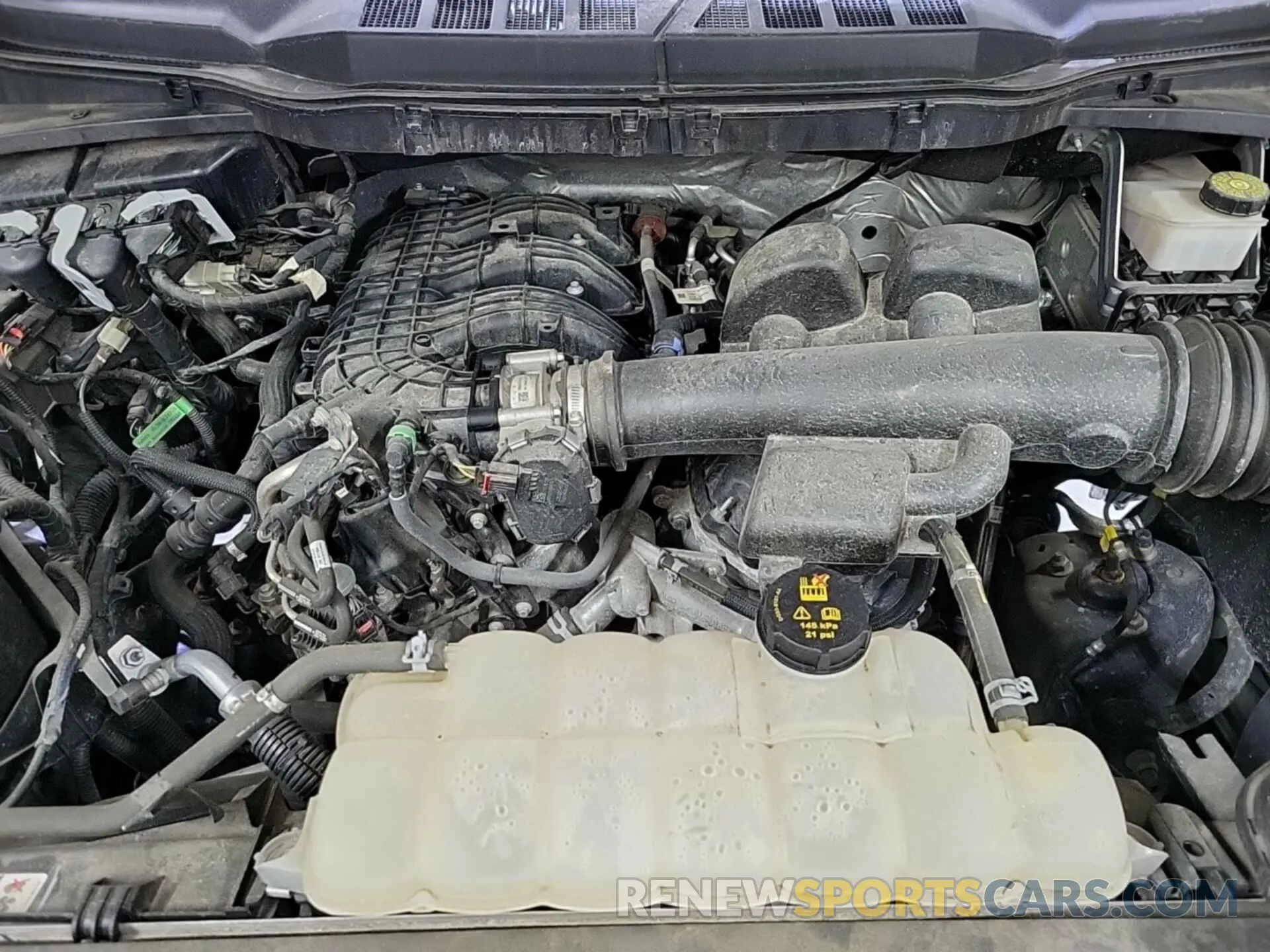 12 Photograph of a damaged car 1FTEW1EB0MFB64792 FORD F150 2021