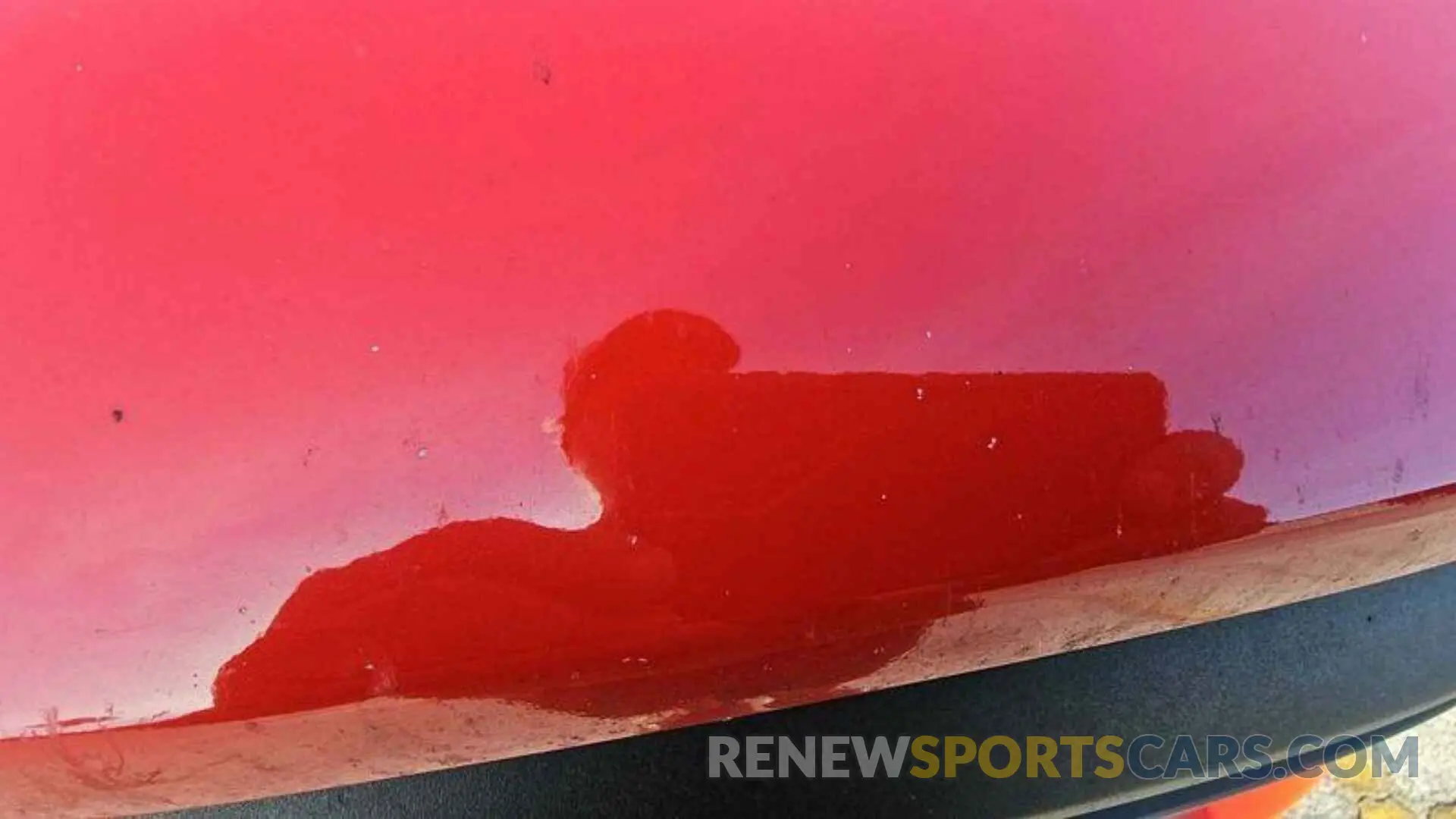 8 Photograph of a damaged car 1FTFW1E80MKE96084 FORD F150 2021