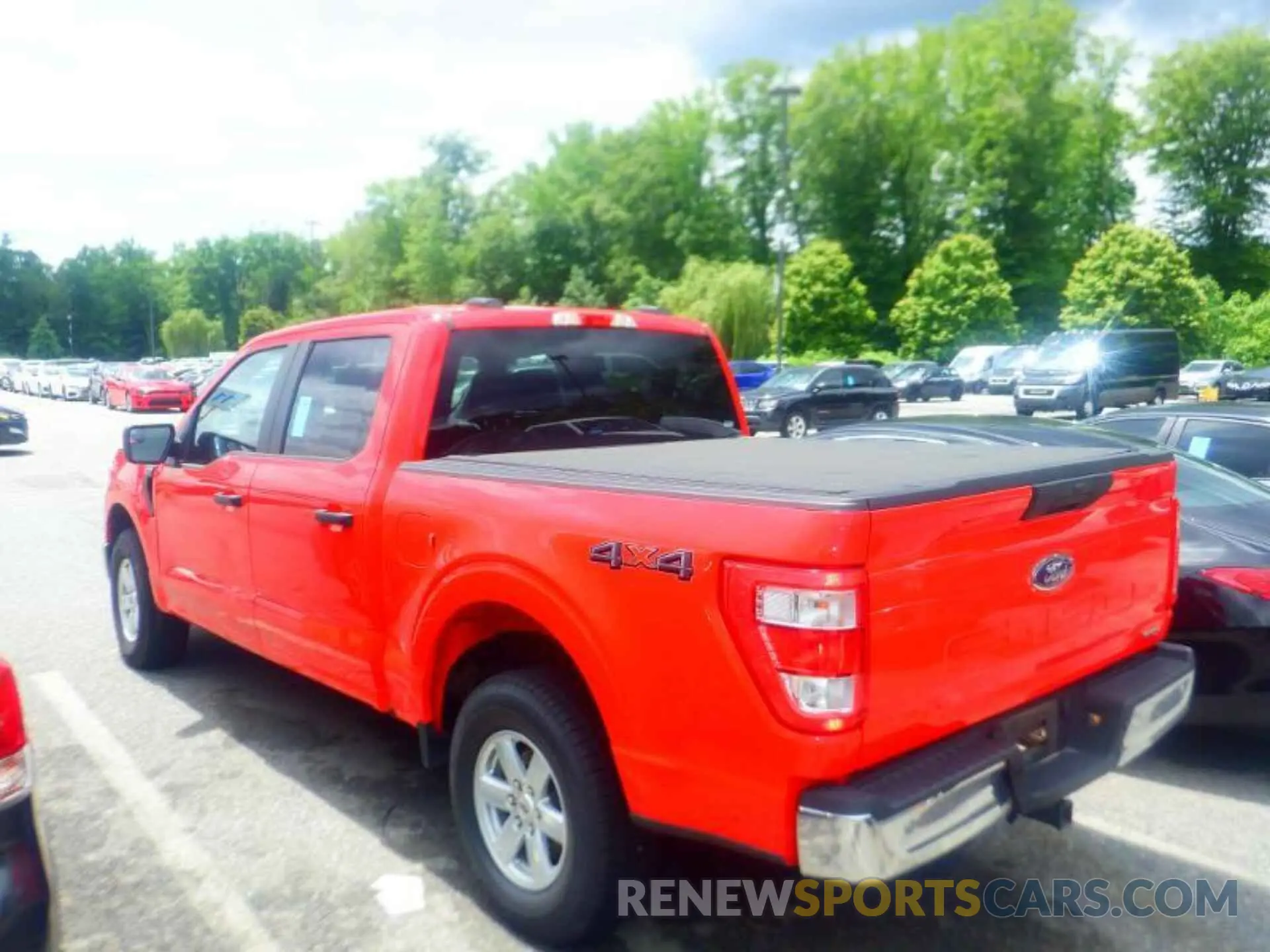 17 Photograph of a damaged car 1FTFW1E83MKE96063 FORD F150 2021