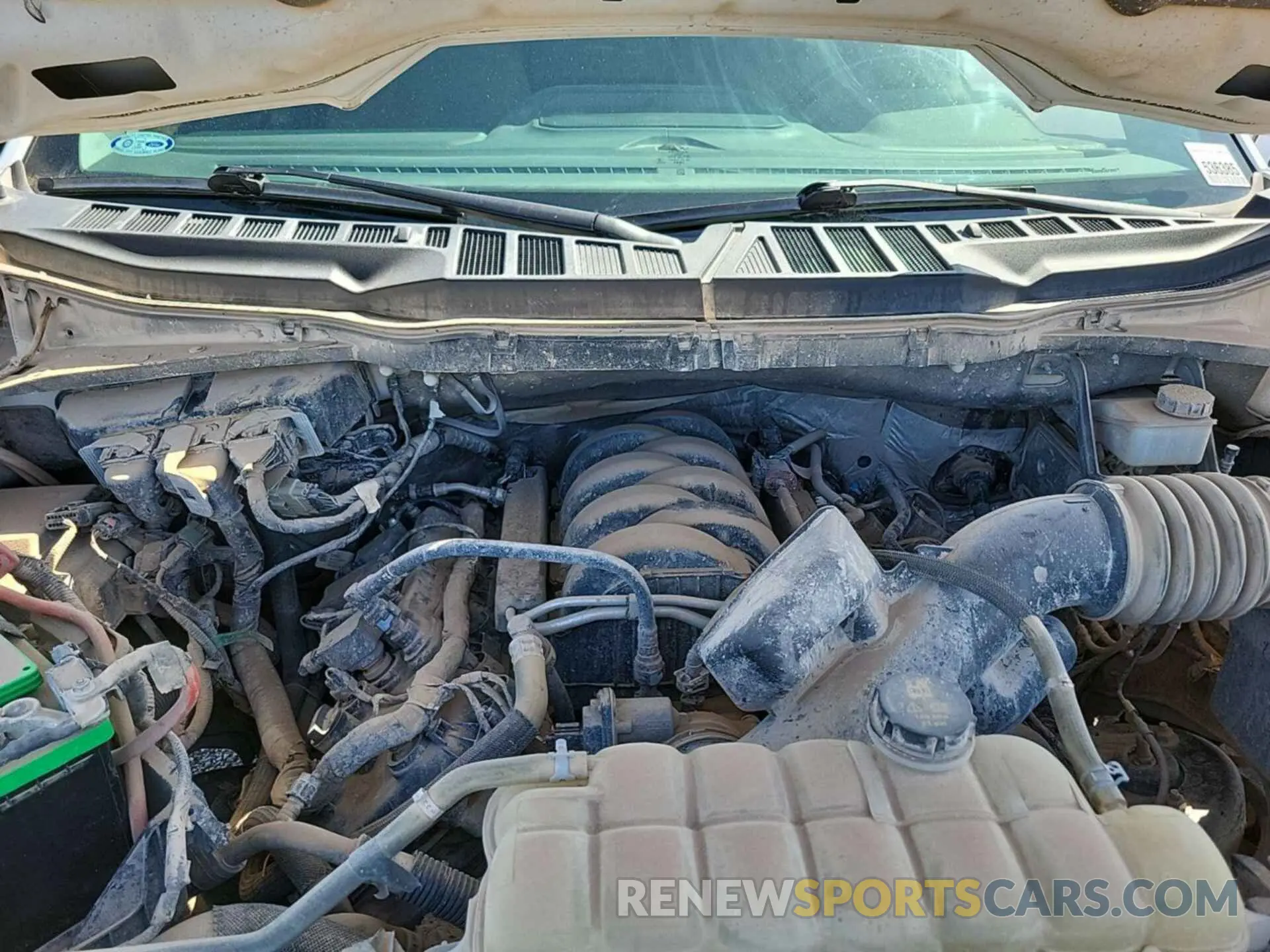 14 Photograph of a damaged car 1FTFX1E50MKD84095 FORD F150 2021