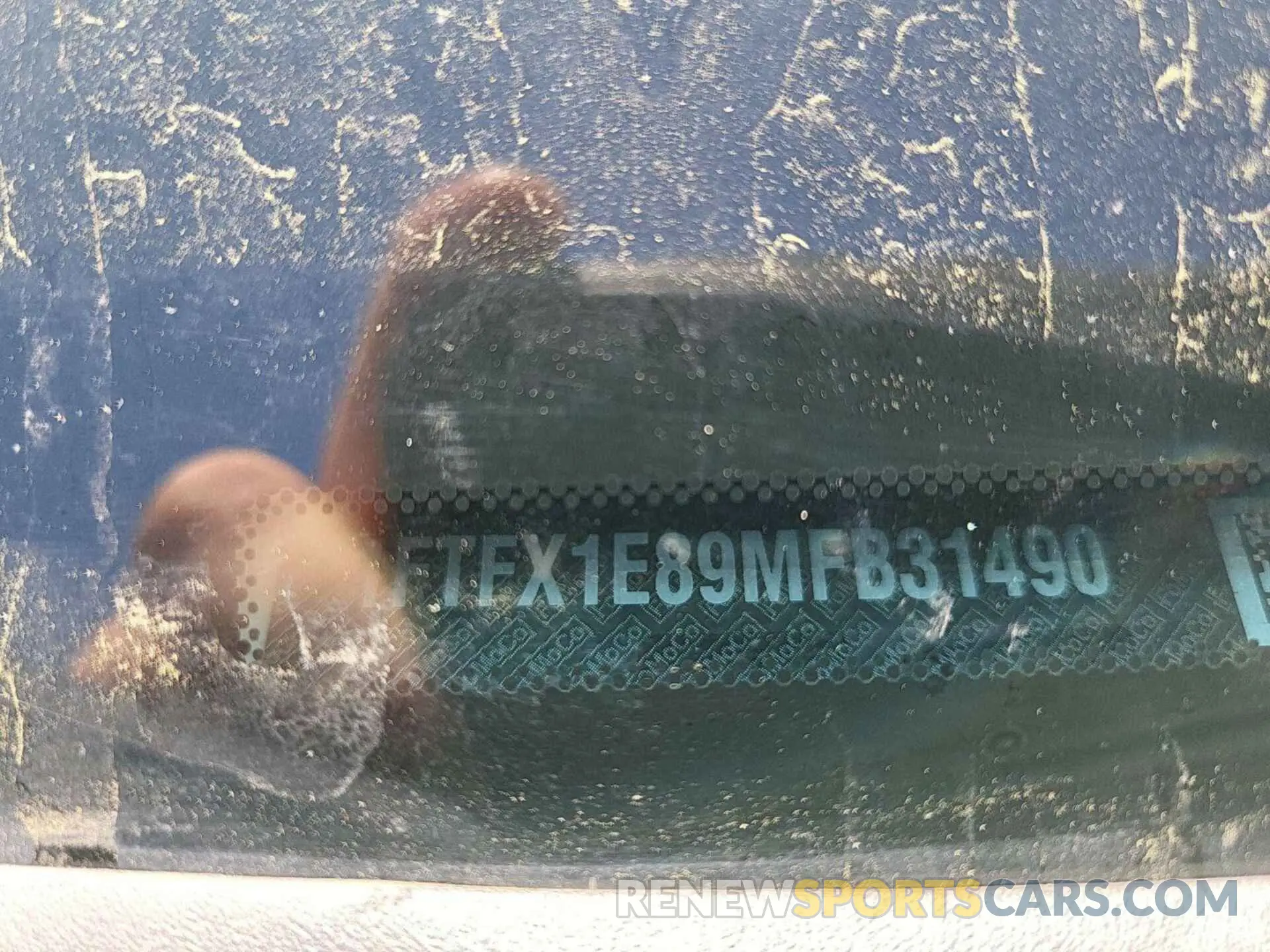 17 Photograph of a damaged car 1FTFX1E89MFB31490 FORD F150 2021