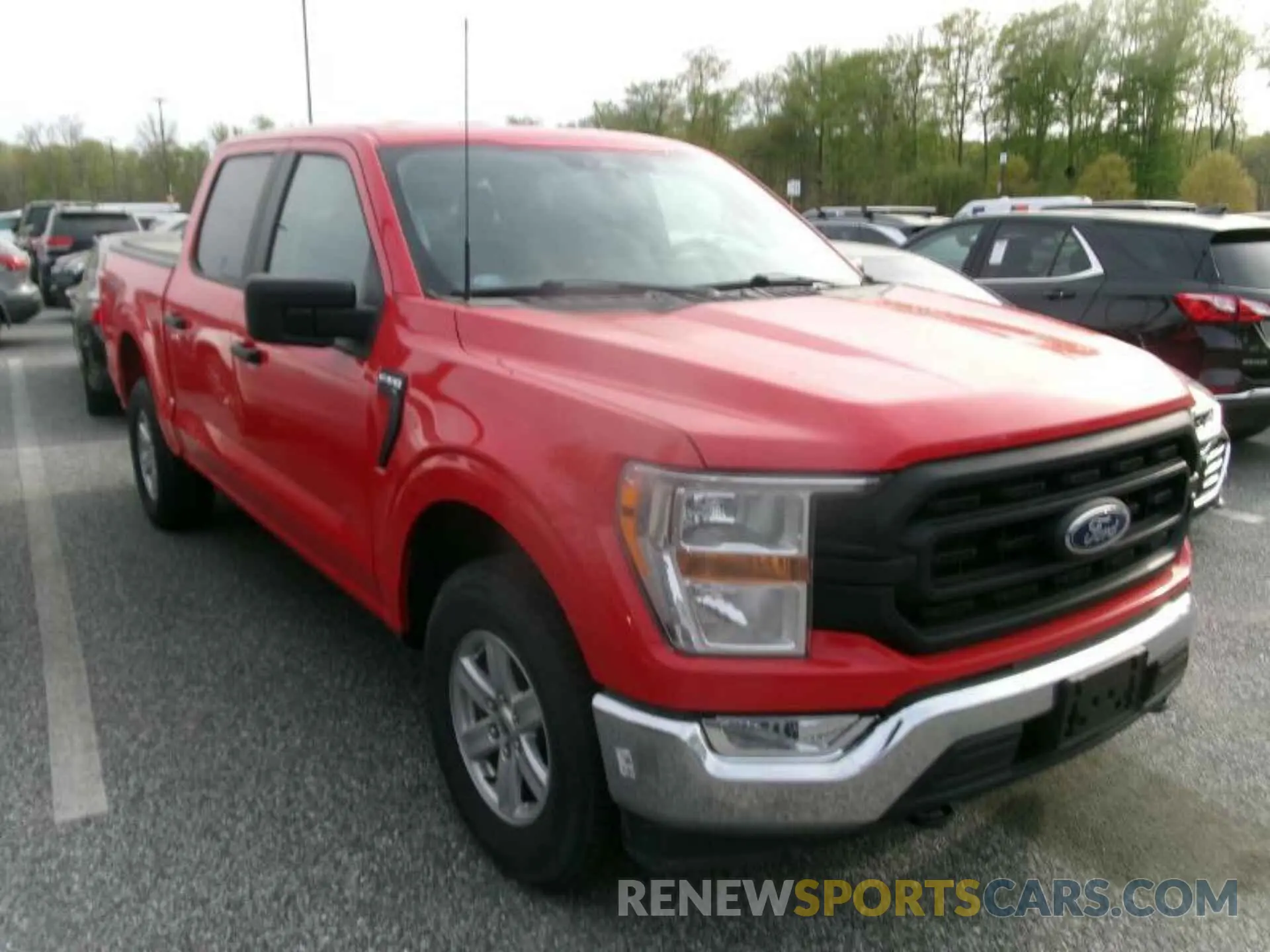 8 Photograph of a damaged car 1FTFW1E85NKE20300 FORD F150 2022
