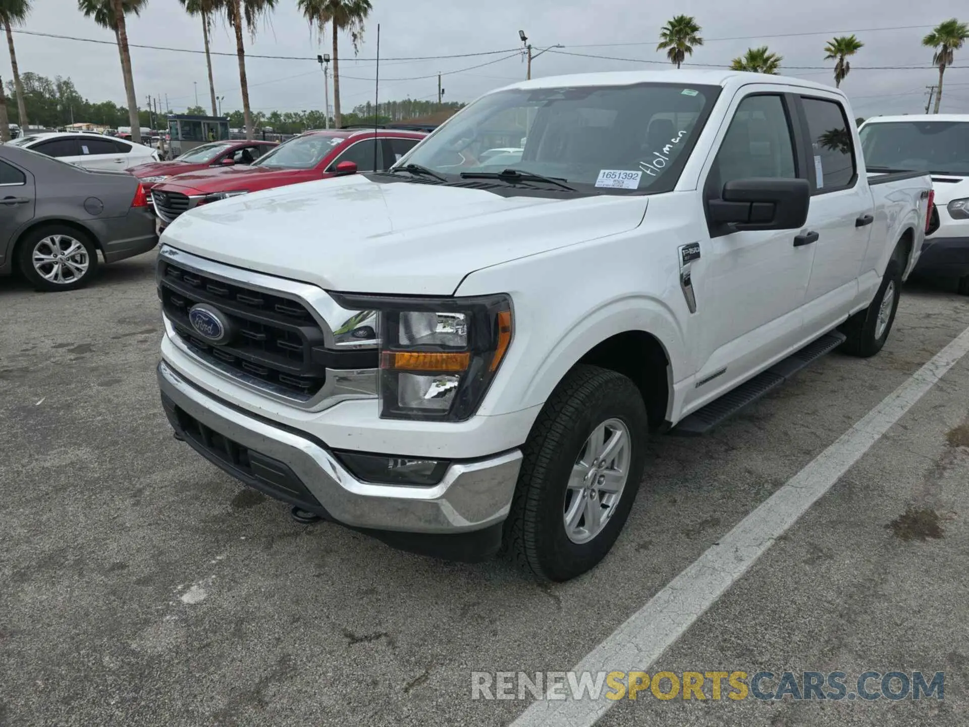 12 Photograph of a damaged car 1FTFW1ED4PFC42579 FORD F150 2023