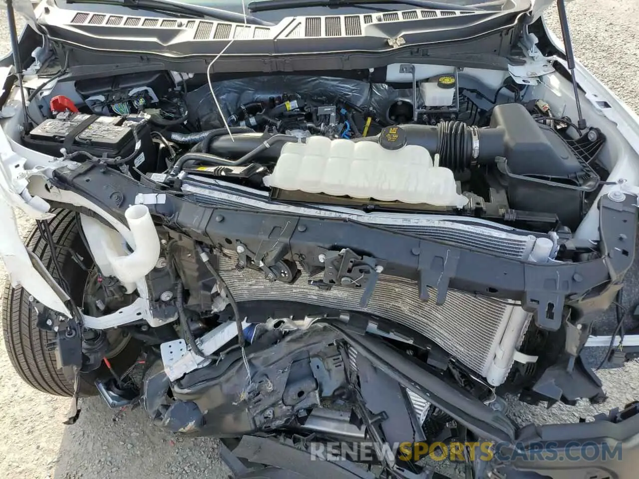 11 Photograph of a damaged car 1FTEW1KP5RKE47137 FORD F150 2024