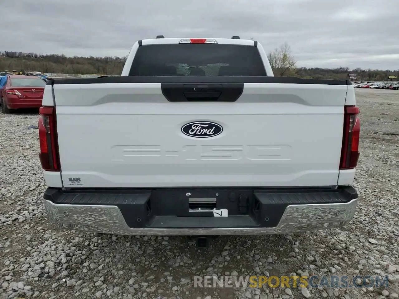 6 Photograph of a damaged car 1FTFW1FD4RFB40135 FORD F150 2024
