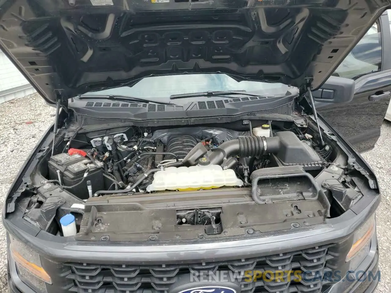 12 Photograph of a damaged car 1FTFW2L58RKD97051 FORD F150 2024