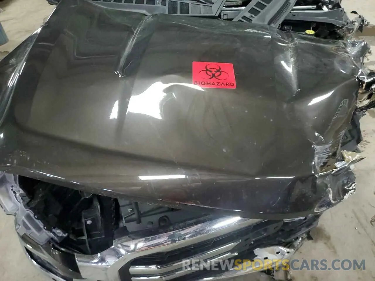 12 Photograph of a damaged car 1FTFW5L50RFB81060 FORD F150 LARIA 2024