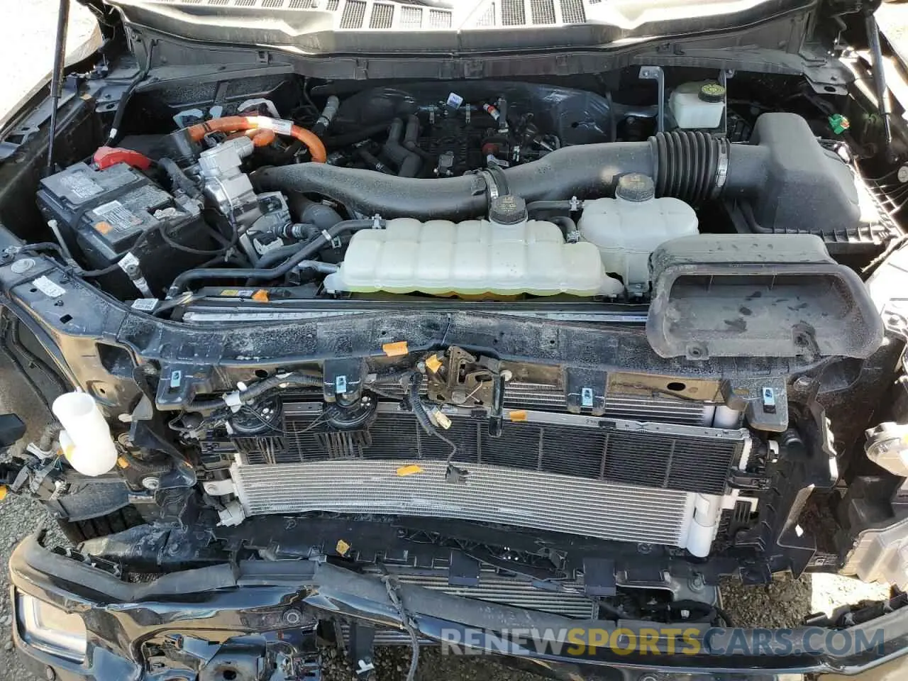 11 Photograph of a damaged car 1FTFW5LD6RFC16403 FORD F150 LARIA 2024
