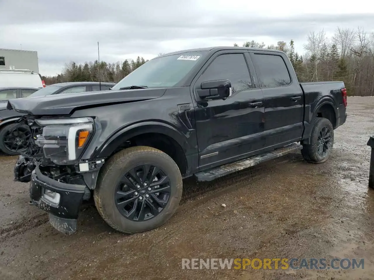 1 Photograph of a damaged car 1FTFW5LDXRFB27529 FORD F150 LARIA 2024