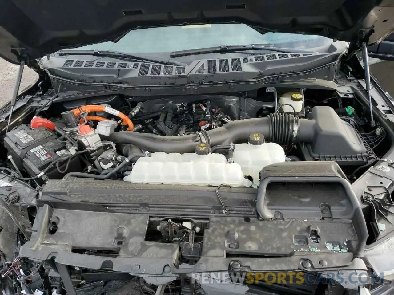 11 Photograph of a damaged car 1FTFW5LDXRFB27529 FORD F150 LARIA 2024