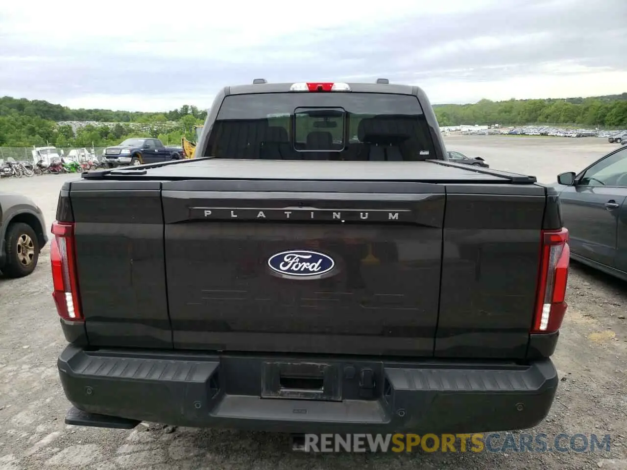6 Photograph of a damaged car 1FTFW7LD2RFB49696 FORD F150 PLATI 2024