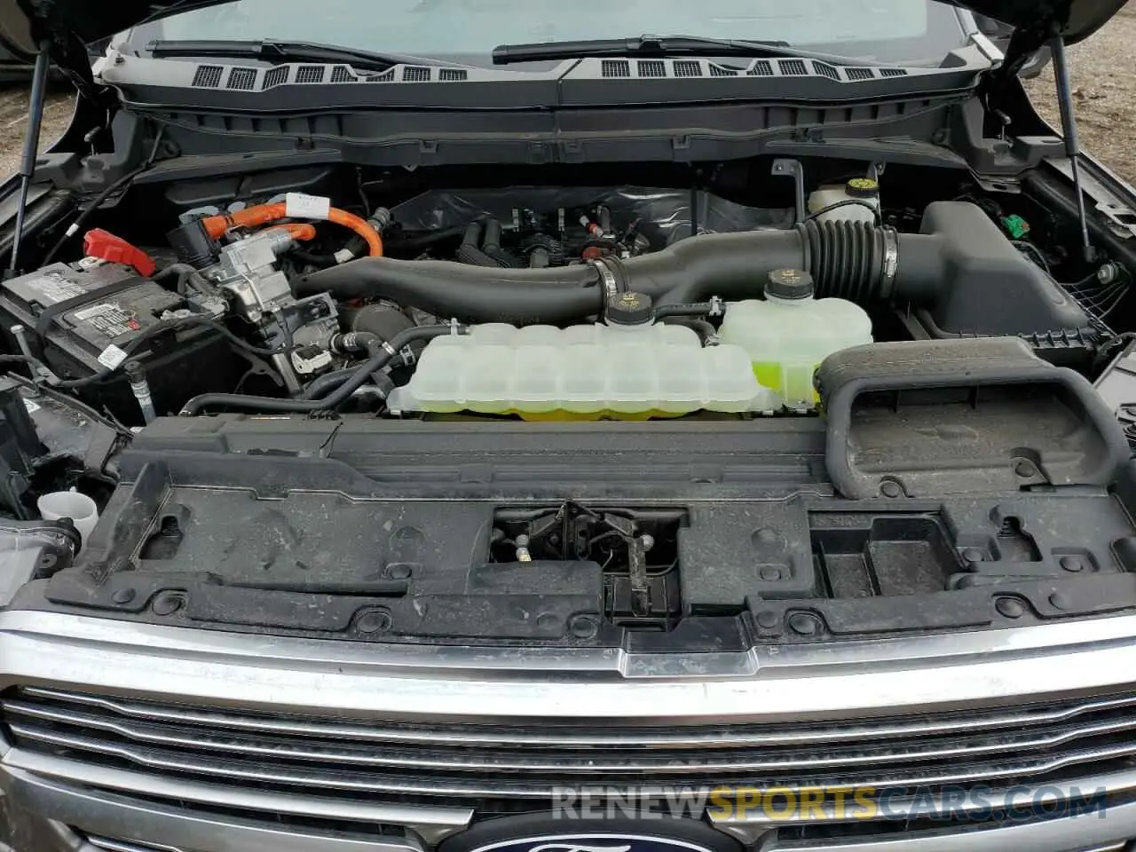 11 Photograph of a damaged car 1FTFW7LD8RFB79270 FORD F150 PLATI 2024