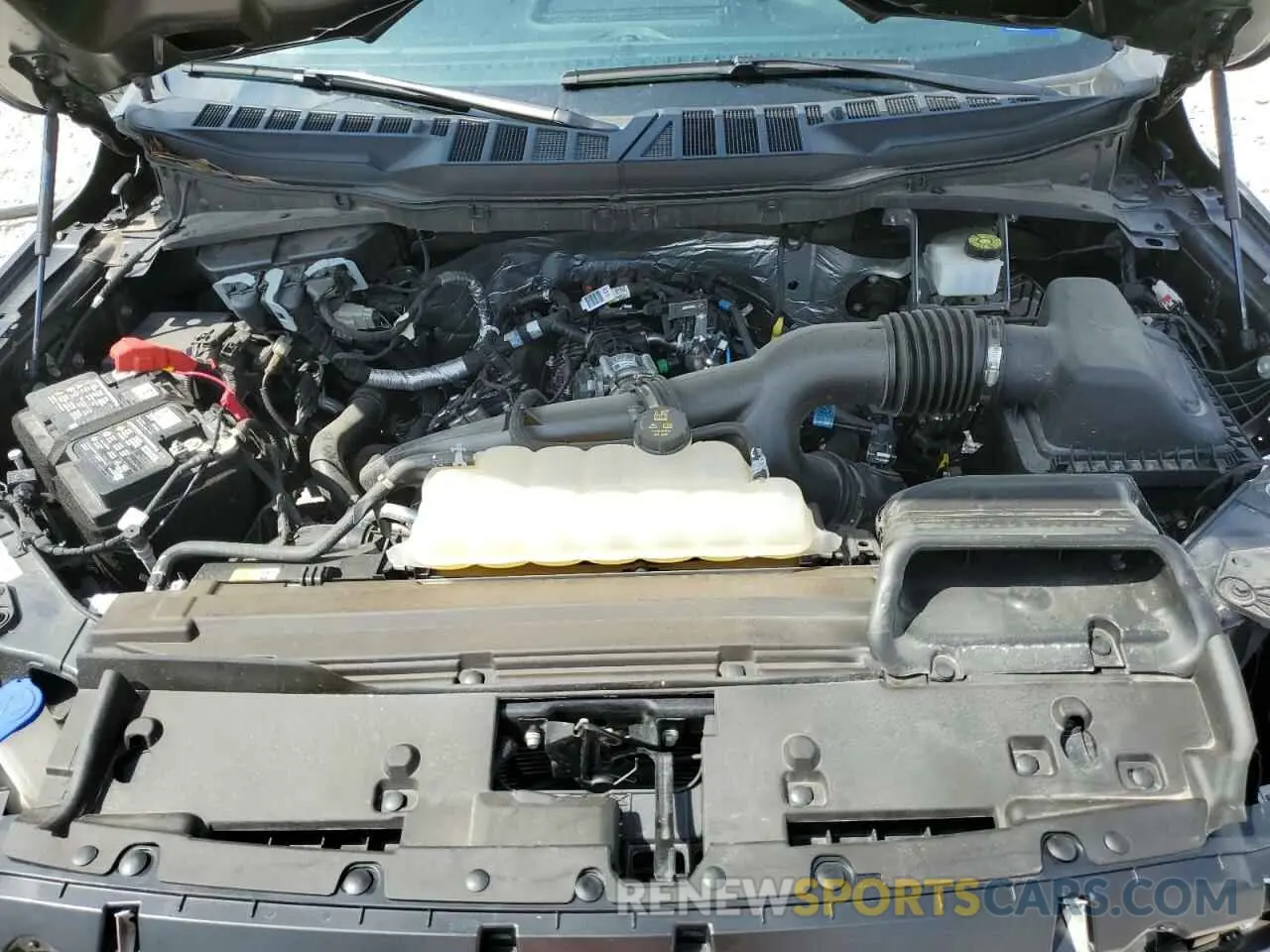 11 Photograph of a damaged car 1FTEW2KP2RFA85718 FORD F150 STX 2024