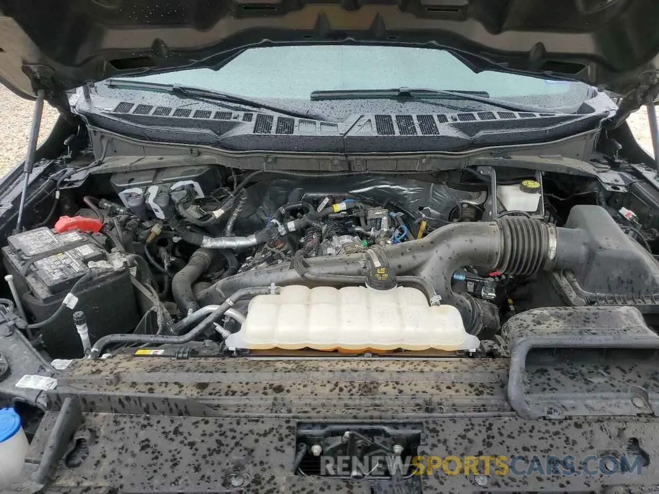 11 Photograph of a damaged car 1FTEW2KP2RKD54047 FORD F150 STX 2024