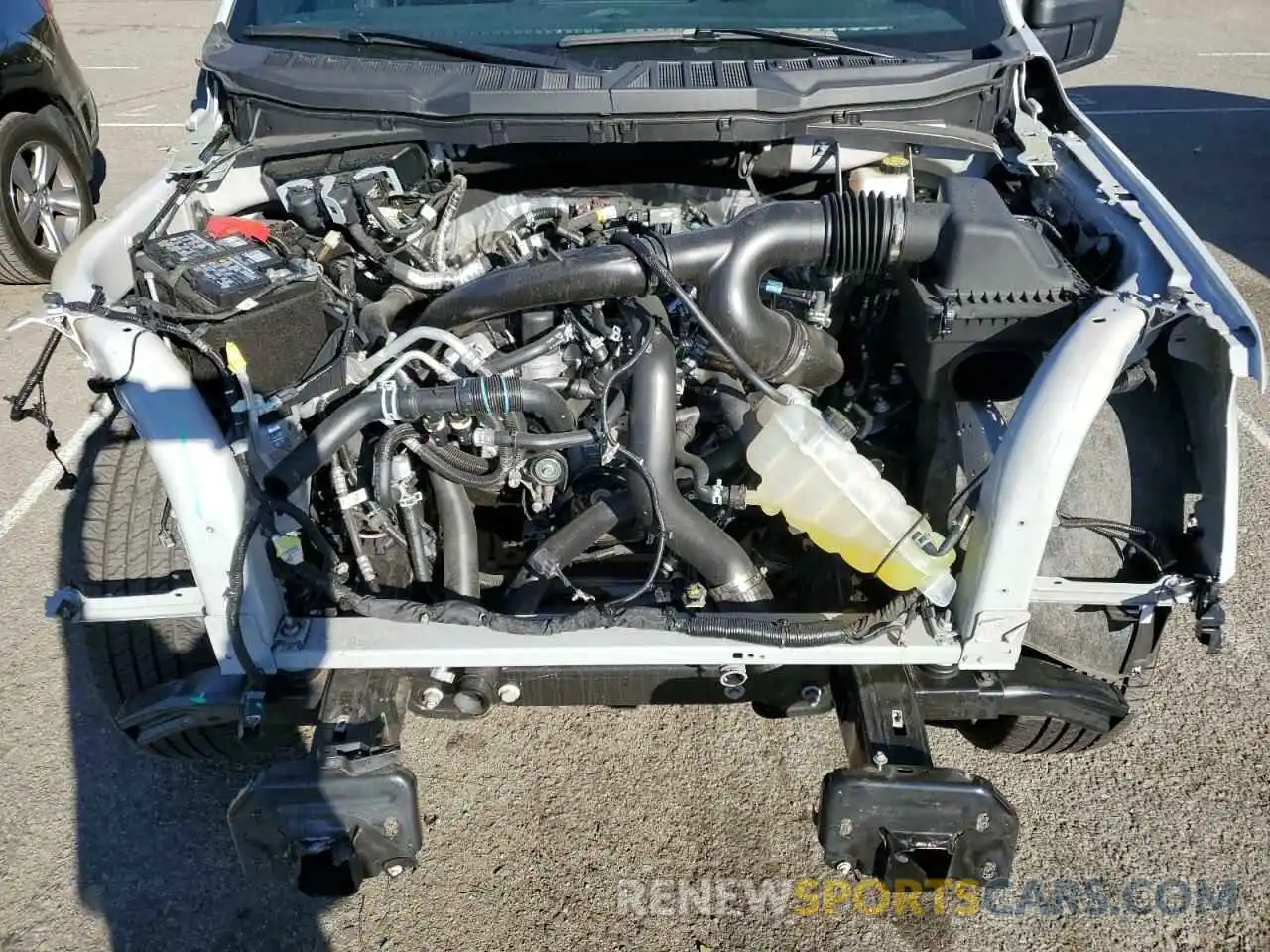 11 Photograph of a damaged car 1FTEW2KP5RKE52392 FORD F150 STX 2024