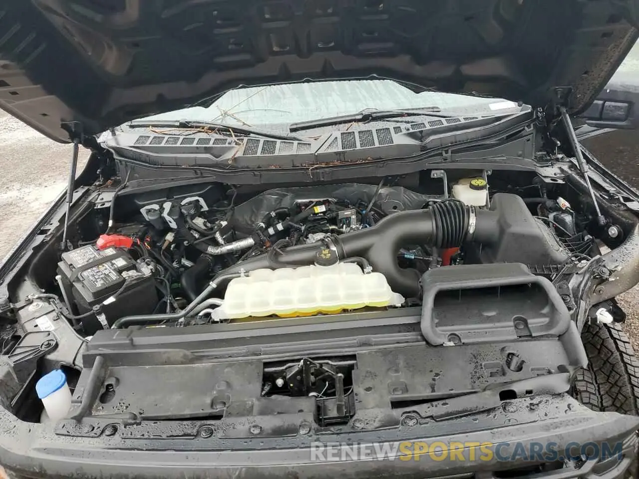 11 Photograph of a damaged car 1FTEW2LP1RFB39332 FORD F150 STX 2024