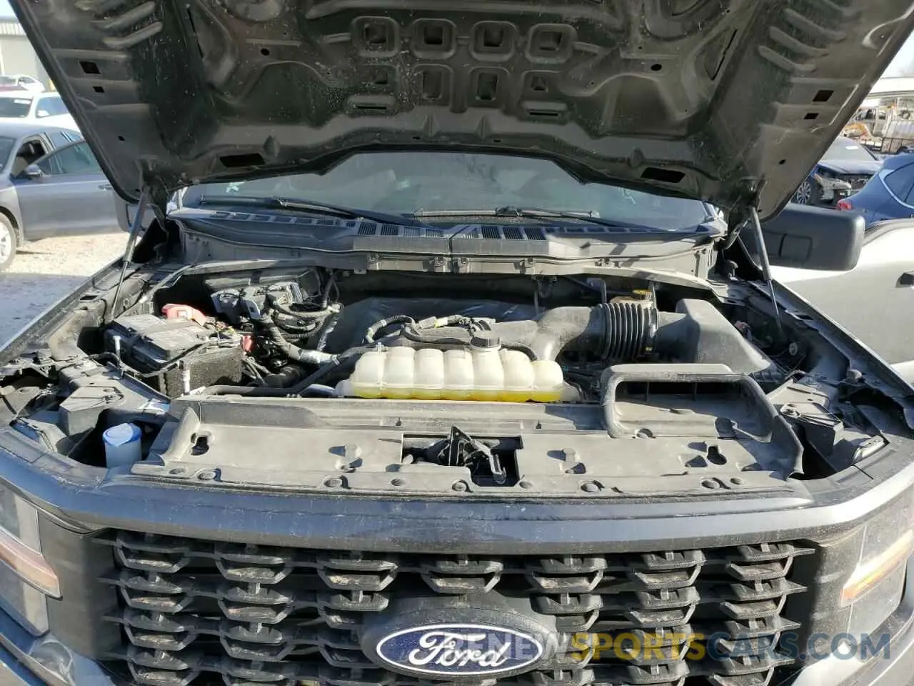 11 Photograph of a damaged car 1FTEW2LP7RKD48887 FORD F150 STX 2024