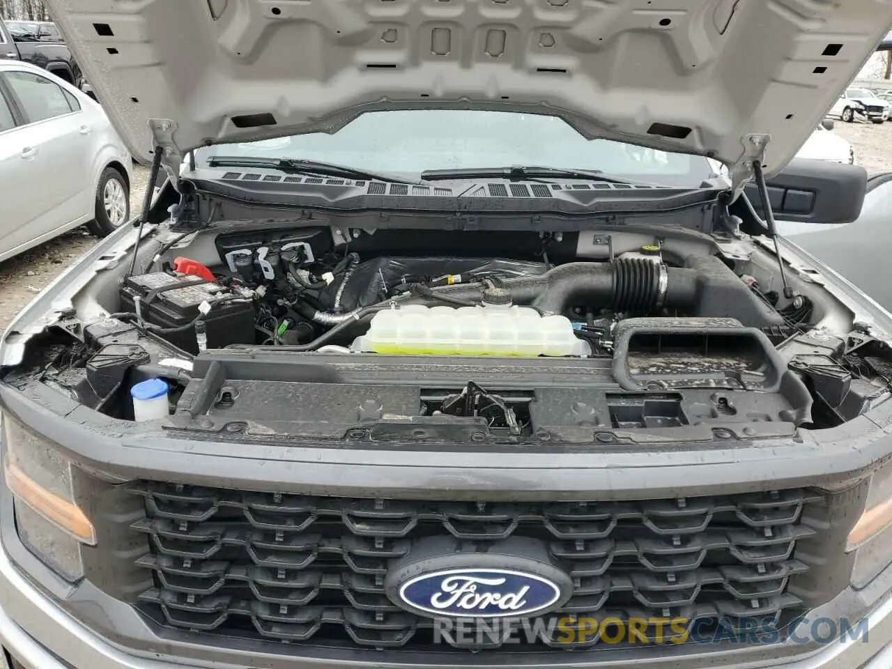 11 Photograph of a damaged car 1FTEW2LP8RKF34549 FORD F150 STX 2024