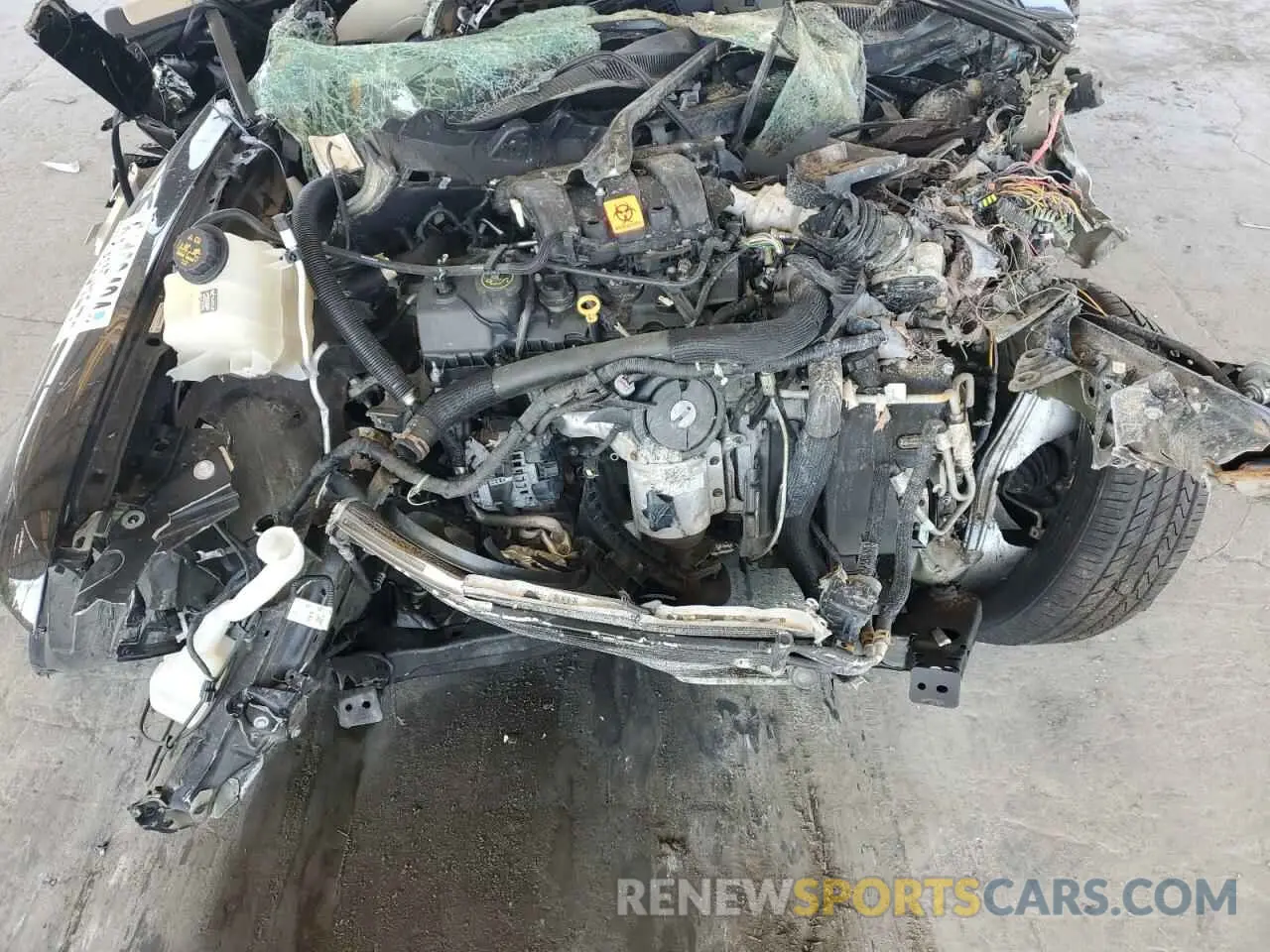 13 Photograph of a damaged car 2FMGK5D87KBA29711 FORD FLEX 2019
