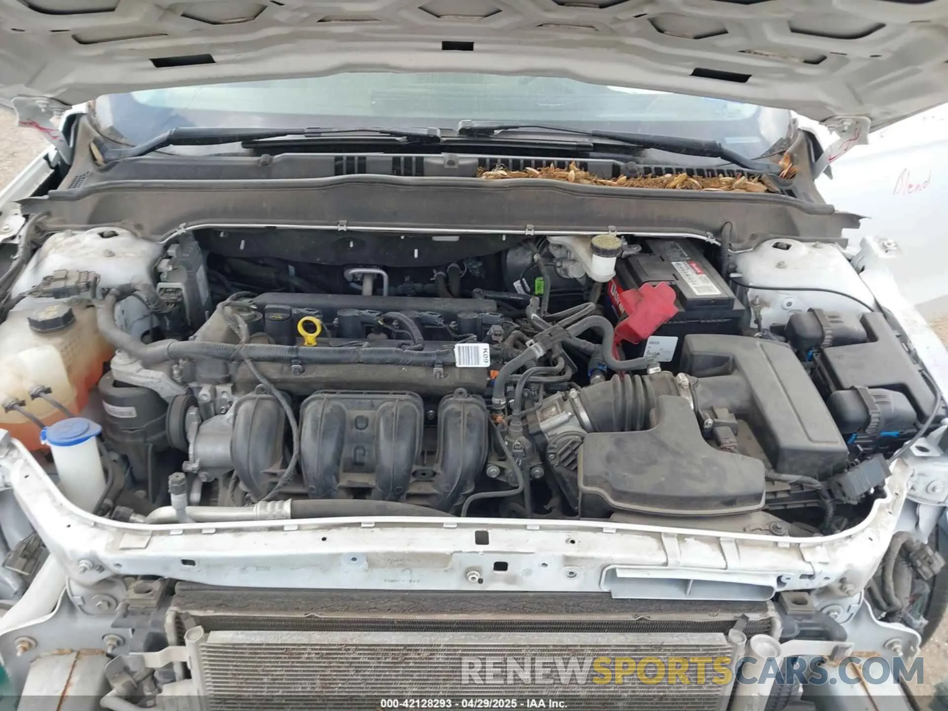 10 Photograph of a damaged car 3FA6P0G76KR170915 FORD FUSION 2019