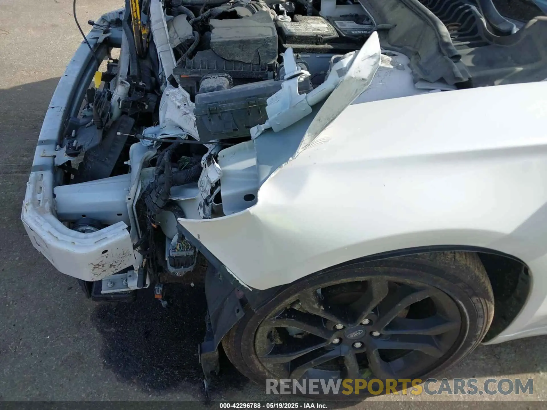 6 Photograph of a damaged car 3FA6P0HD4KR196062 FORD FUSION 2019