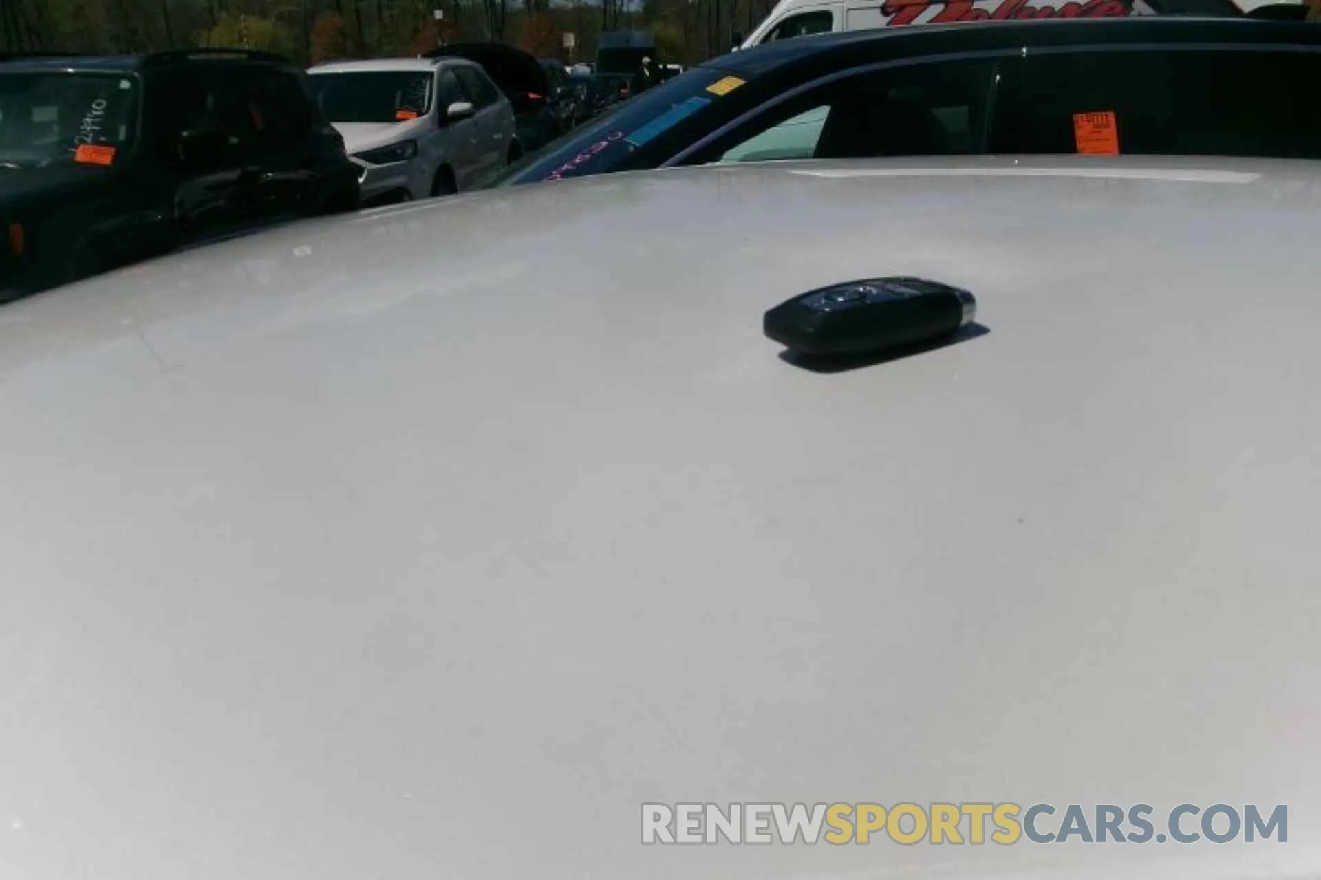 13 Photograph of a damaged car 3FA6P0HD8KR183993 FORD FUSION 2019