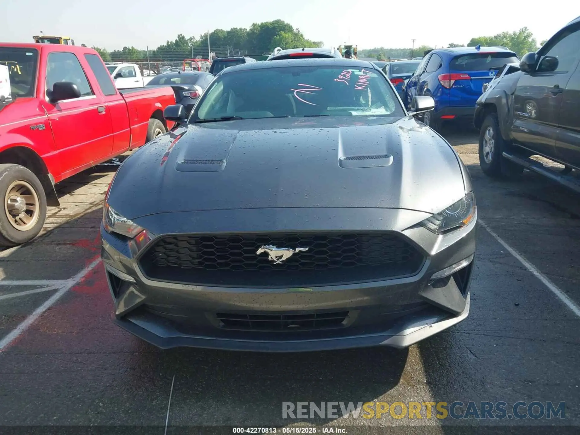 12 Photograph of a damaged car 1F86B8TH3K5173920 FORD MUSTANG 2019