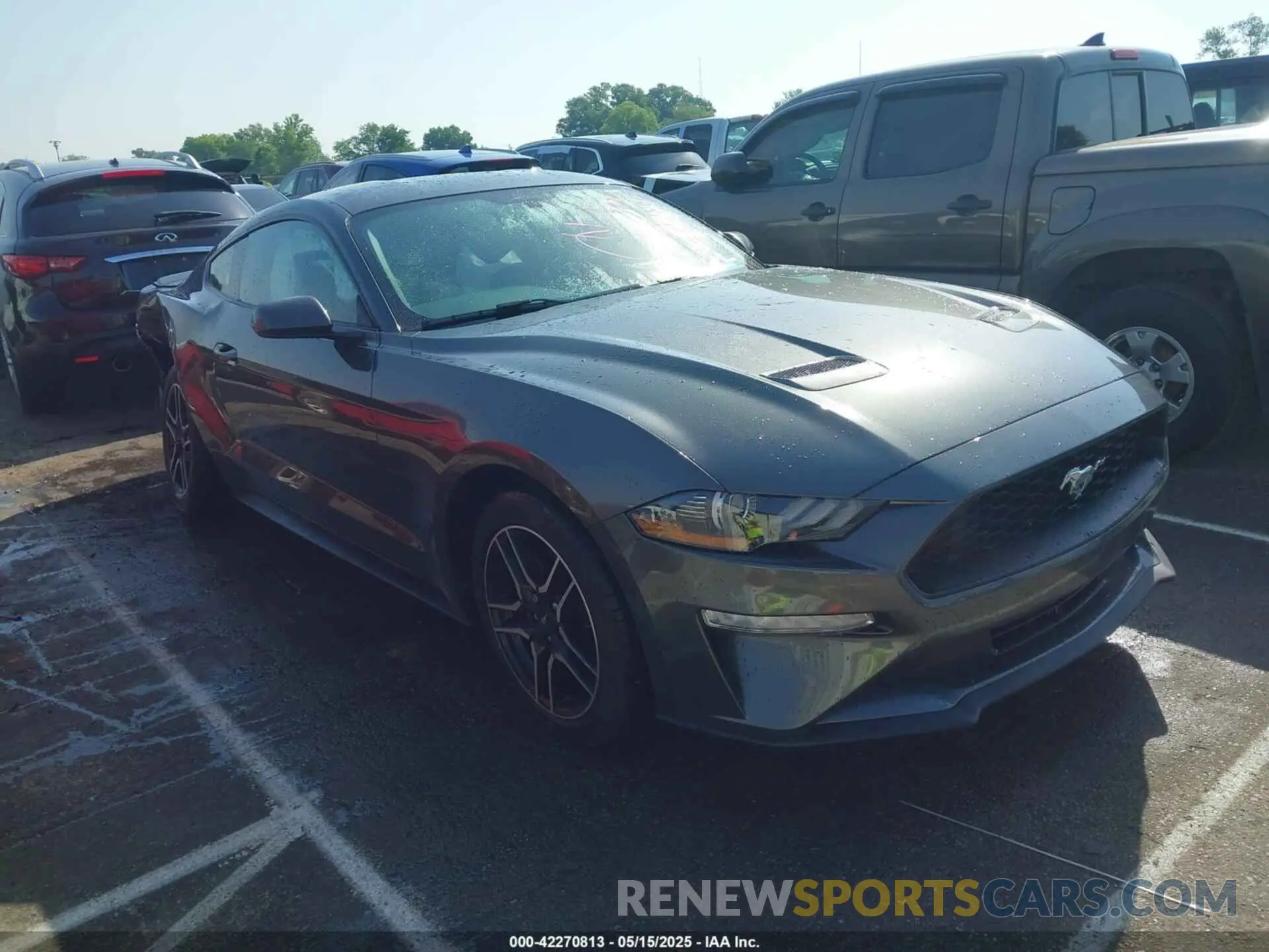 13 Photograph of a damaged car 1F86B8TH3K5173920 FORD MUSTANG 2019