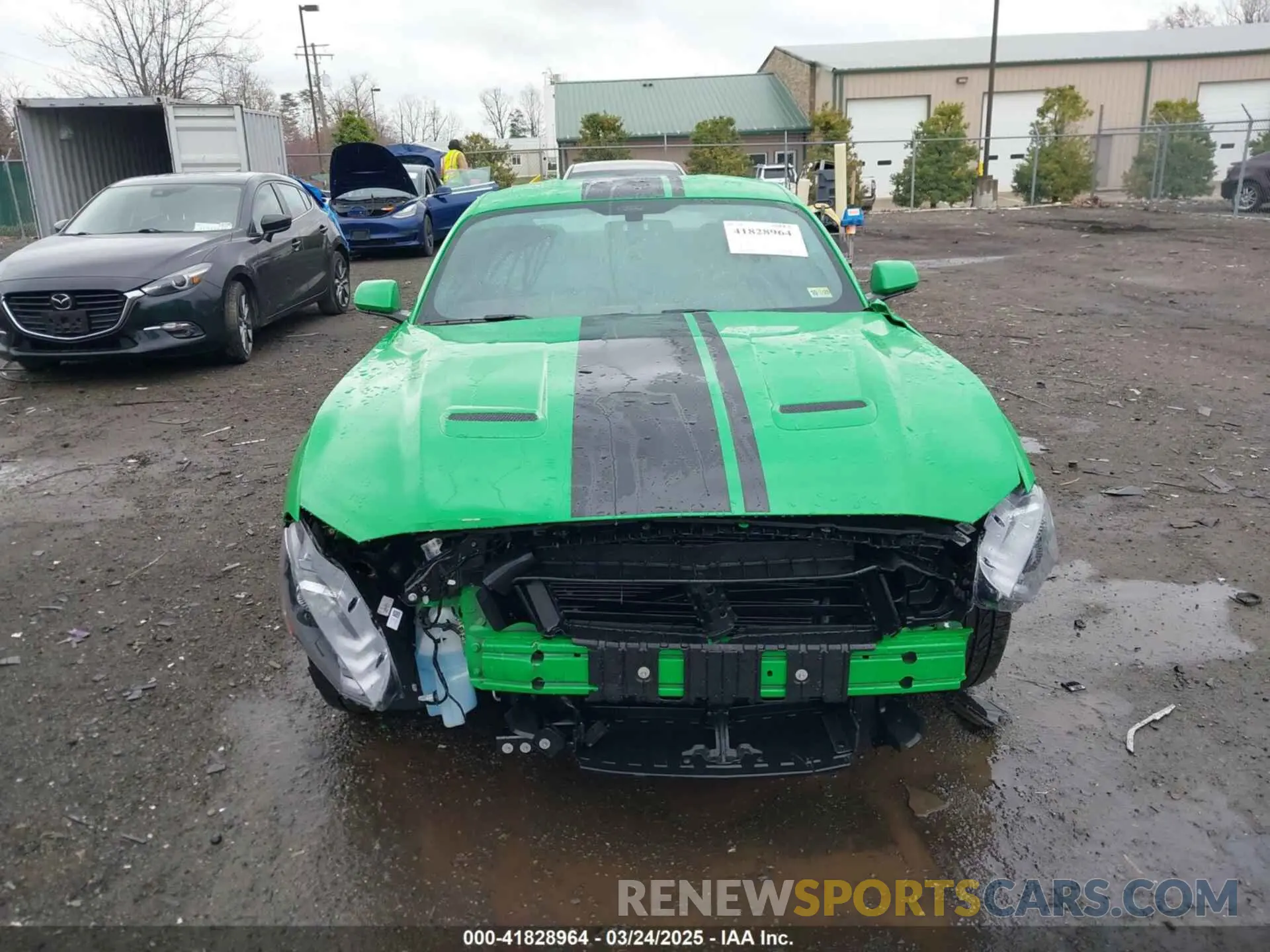 6 Photograph of a damaged car 1FA6P8CF0K5120350 FORD MUSTANG 2019